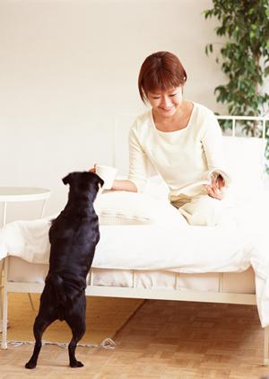 2025年版：フレブル子犬の飼育ガイド｜初心者が知っておくべき完全ポイント